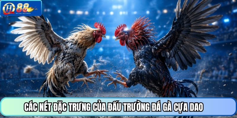 Các nét đặc trưng của đấu trường đá gà cựa dao 
