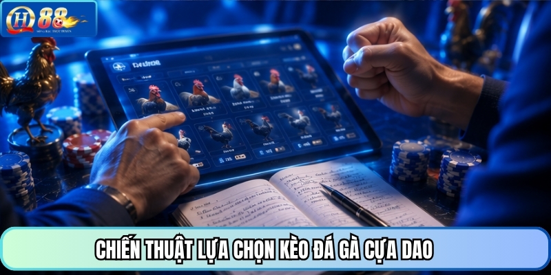Chiến thuật lựa chọn kèo đá gà cựa dao 