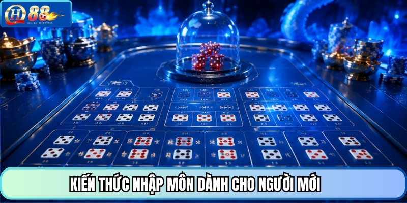 Kiến thức nhập môn dành cho người mới 