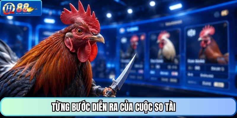 Từng bước diễn ra của cuộc so tài 